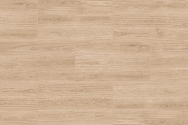 SCANDINAVIAN DESERT - Imagen 2